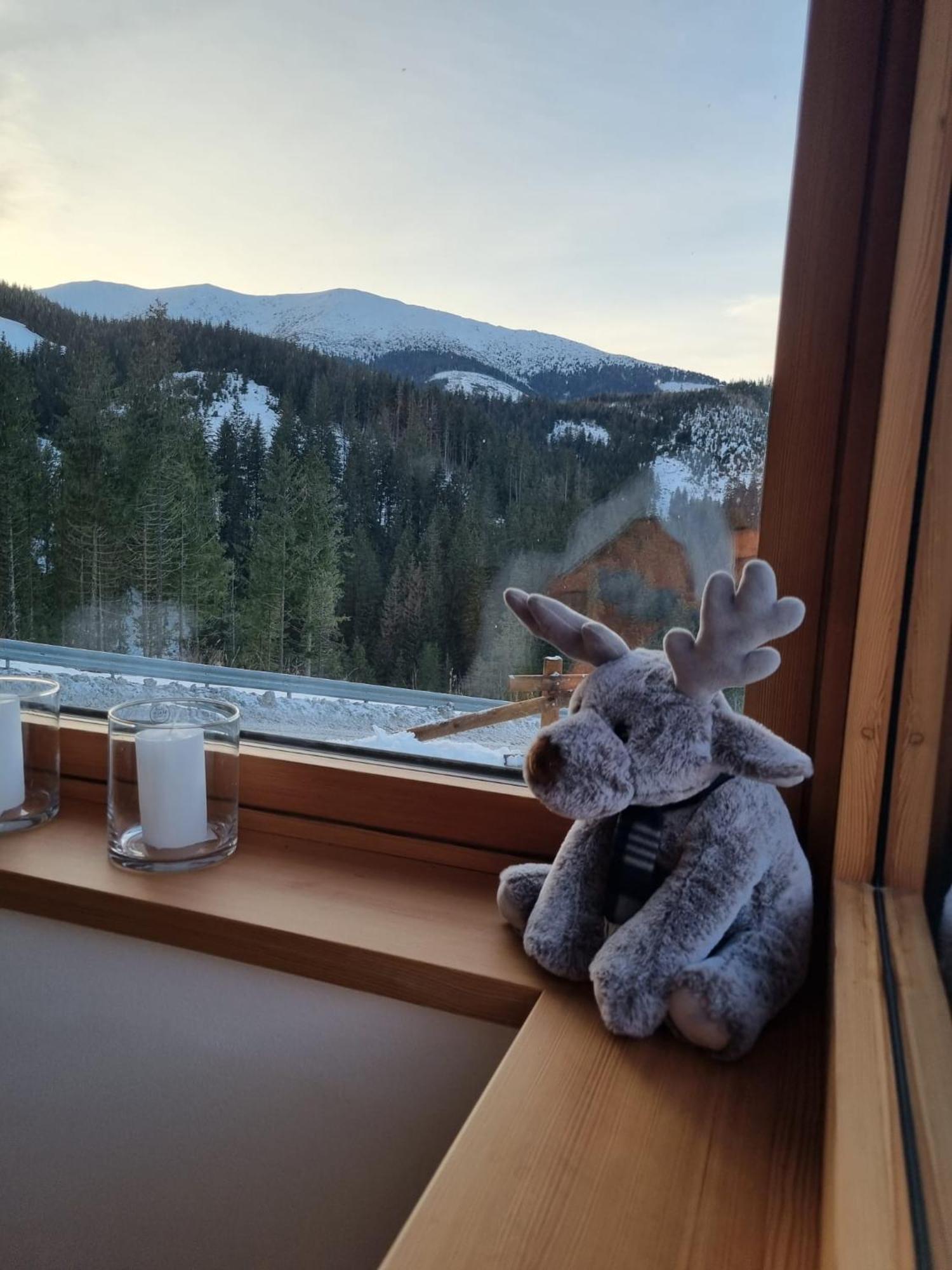 Lucky Chalet Jasna Luxury Apartment 데마노브스카돌리나 외부 사진